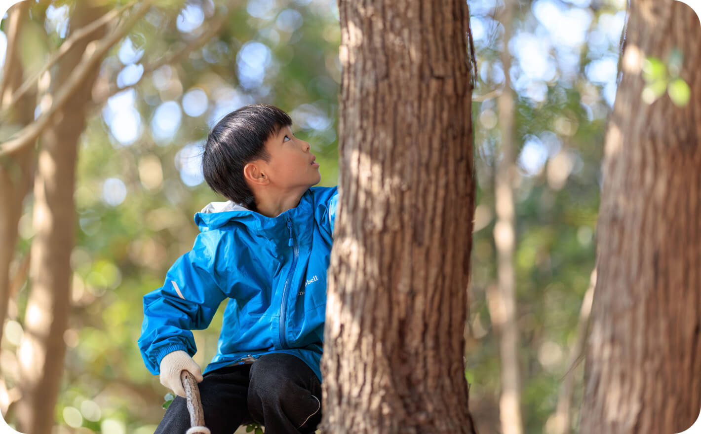 トレジャーフォレスト
