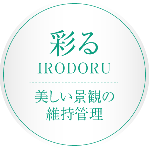 彩る